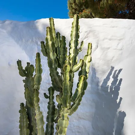 Отель 23 Mykonos Mykonos Town