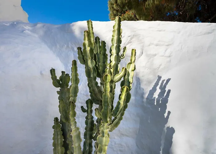 فندق 23 Mykonos Mykonos Town