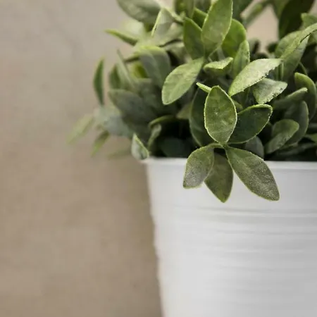 23 Mykonos 酒店 Mykonos Town