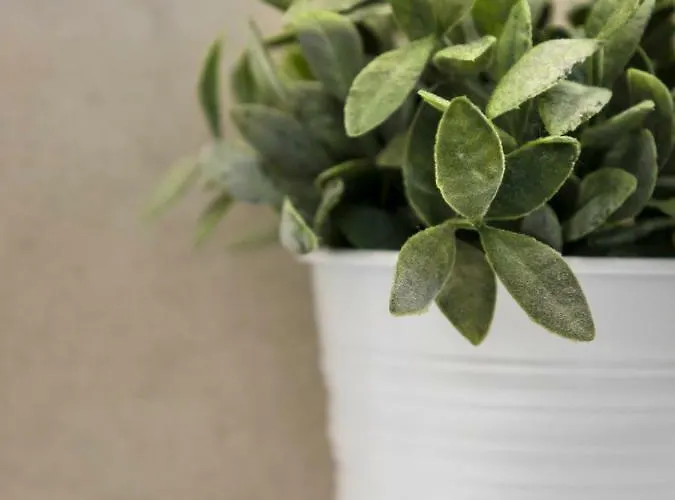 23 Mykonos Hotel Mykonos Town